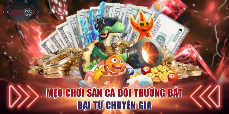 3 kinh nghiệm cược hiệu quả nhất từ chuyên gia