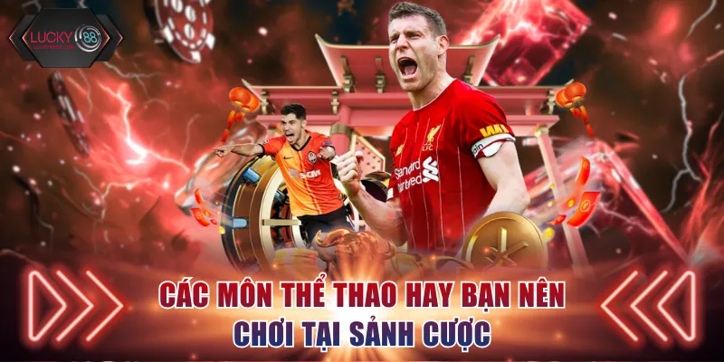 Các môn thể thao hay bạn nên chơi tại sảnh cược